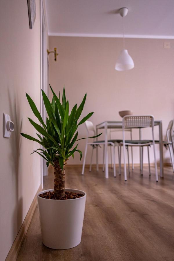 Apartment Charna Beograd Zeleznik